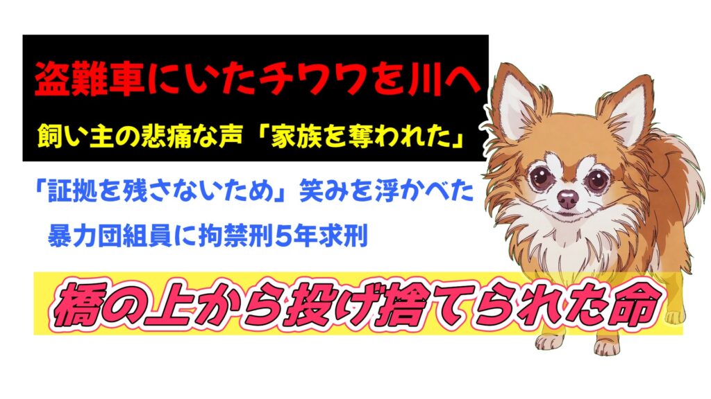 盗難車にいたチワワを川へ、暴力団組員に拘禁刑5年求刑