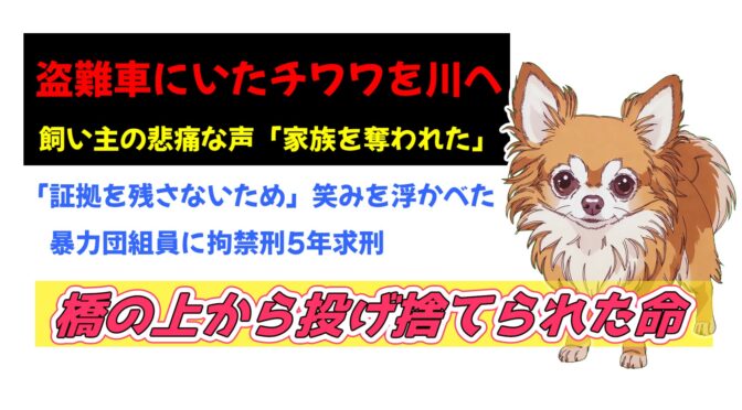 盗難車にいたチワワを川へ、暴力団組員に拘禁刑5年求刑